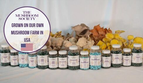 Skin Rejuvenation Supplement - Lion’s Mane, Oyster Mushroom, Vitamin E & Flush Free Niacin -Supports Skin Health & Radiance - 60 Capsules in Kuwait