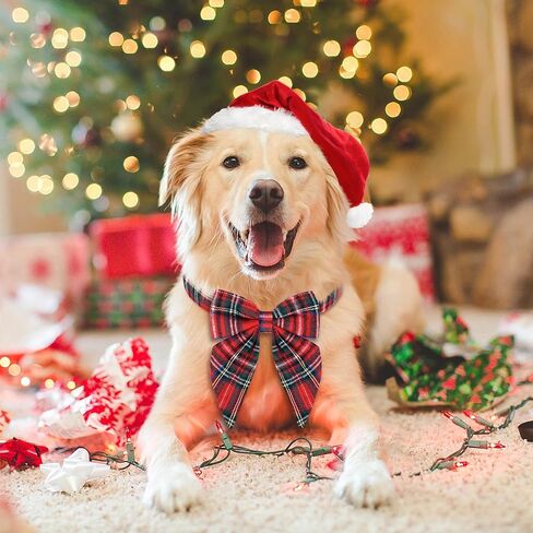 Malier Christmas Dog Collar with Bow tie, Classic Red Dog Christmas Collars for Girl and Boy, Cute Adjustable Holiday Dog Collars Puppy Collar for Small Medium Large Dogs Cats Pets (Large, Red) in Kuwait