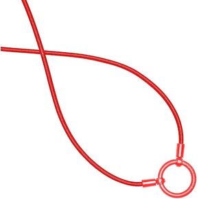LaLoop The Rae Eyeglass Necklace Holder 25" Red Stretch Cord with Plastic Swivel Hinge Loop | Eye Glasses Chain for Women & Men