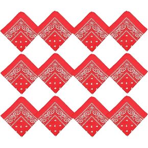 Winterlace 12 Pack Bandanas, Unisex One-Sided Print Paisley Retro Head Wrap Necktie Face Mask Bulk