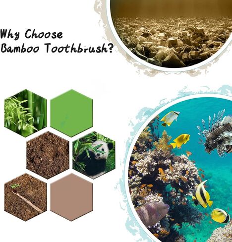 فرش أسنان من الخيزران من غابة العذراء، فرشاة أسنان ذات شعيرات ناعمة صديقة للبيئة وخالية من مادة BPA، فرش أسنان خشبية طبيعية قابلة للتحلل الحيوي، فرشاة أسنان من الخيزران العضوي النباتي من الفحم النباتي للثة الحساسة، مجموعة من 10 قطع in Kuwait