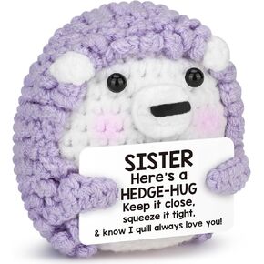 Funny Hedgehog Sister Adult Easter Basket Stuffers Essentials for Teens Girls Easter Egg Fillers,Soul Sisters Mothers Day Birthday Graduation Gift Ideas from Big Little Sis,Mini Crochet Animals Decor