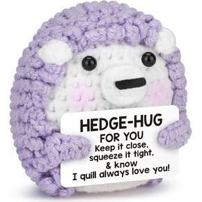 Mini Funny Positive Purple Hedgehog Healing Gifts,Get Well Gifts for Women After Surgery,Breast Cancer Care Self Care Relaxation Stress Relief Sympathy Memorial Presents for Occupational Therapy