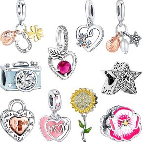10PCS Charms Compatible with Pandora Charms Bracelet Necklace, Charms for Bracelets for Women, the Beads with Cubic Zirconias Are the Perfect Jewelry Gift for Women, Ideal for Christmas, Birthdays, Mother's Day, and Valentine's Day.