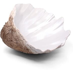 Accessoryway Large White Sea Shells Decorative Bowl Resin Clam Shell Bowl Beach Decorations for Home Coastal Beach Decor Decoration Storage Bowls & Home Office Nautical Themed Party Decor -10.2"-1PC