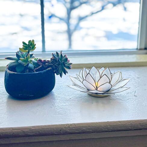 Moonshadow Handmade Capiz Shell Lotus Tea Light Holder, Elegant Blooming Flower Design with Natural Translucent Finish, Ideal for Home Decor, Meditation, Weddings & Serene Centerpieces, Natural in Saudi Arabia