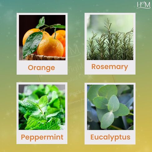 HM Outdoor Outdoor Oil Kit - 4 Pack | مجموعة الهدايا | Lemongrass ، الأوكالبتوس ، السترونيلا ، النعناع | العلاج العطري المنعش للتخييم والفناء والاستخدام في الهواء الطلق - 1.35 أوقية كل منهما in Kuwait