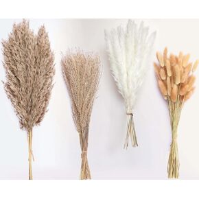 100 Stems Dried Pampas Grass, Boho Table Decor Natural Reed Phragmites Grass, Fluffy Large Pampas Grass, Bunny Tails Flowers Bouquet for Wedding Floral Arrangements Farmhouse Home, Wall Rustic Party