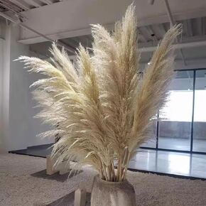 10 Stems 40 inch Tall Pampas Grass Decor - Natural Large Pompas Floral, Dried Flowers Bouquet for Wedding, Tall Pampas Grass for Floor Plants Decor, Boho Home Decor, Party Decor