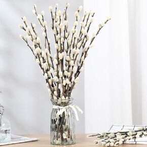 فروع Pussywillow المجففة الطبيعية ، 15 سيقان من الصفصاف الحقيقي ، 17 "ثلج Pussywillows ، الزهور المجففة للديكور الداخلي والخارجي