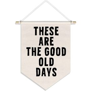 These Are The Good Old Days Wall Hanging Banners,College Teen Girl Boy Dorm Decor,Kids Room Decor Nursery Playroom Reading Corner Pennants, 15x11in
