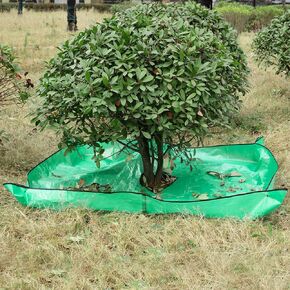 TANOOM Landscape TARP للتشذيب ، 78.7 "x78.7" تشذيب القنب مع فتحة 12 بوصة ، ومتقطعة شجيرة شجيرة القنب المائية مع أربعة أبازيم الزاوية لسهولة التثبيت ومجموعة الأوراق