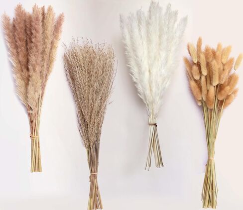 100 سيقان مجففة بامباس العشب ، بوهو جدول ديكور طاولة القصب الطبيعي phragmites العشب ، عشب بامباس كبير ، باقة زهور ذيول الأرنب لترتيبات الزفاف الزفاف in Kuwait