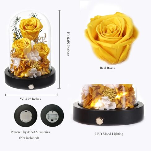 Flowers for Delivery, 3 Yellow Forever Roses in Glass Dome with LED, Preserved Real Rose, Valentines Day Anniversary Birthday Mothers Day Flower Gifts for Mom Her Women Wife Mother in Kuwait