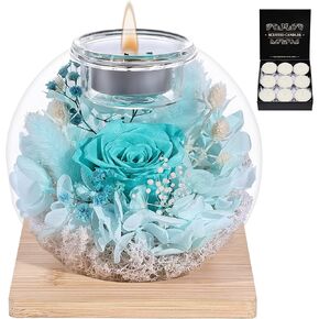 Preserved Roses - Birthday Gifts for Her, Preserved Real Roses Flowers with Glass Cover Gifts for Women, Daughters, Sister, Girlfriend on Birthday, Anniversary, Thanksgiving, Christmas - Purple