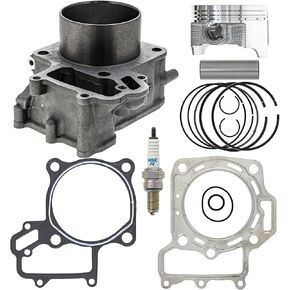 NICHE Cylinder Piston Gasket Kit for Kawasaki Prairie 700 KVF700A KVF700B KFX700 11005-1992 11060-1965 11004-0050