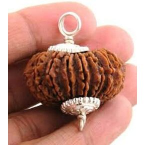 21 Mukhi Rudraksha Twenty One Face Rudraksh Hindu Sacred Bead Rare Lare Ce