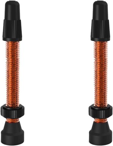 WTB Tcs Al Orange Presta Valve 34mm 2Pcs (W095-0061) in Saudi Arabia