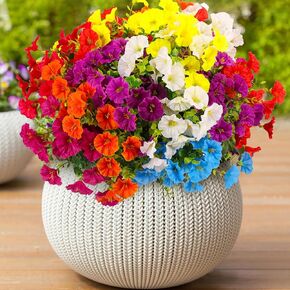 16 Bundles Artificial Flowers for Outdoors Faux Morning Glory Spring Summer Decoration, Fake Flowers Plants UV Resistant Look Real Silk Flowers Decor for Outside Planter Front Door Porch Patio Yard