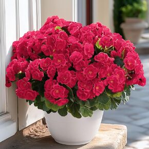 6 Bundles Artificial Flowers for Outdoors Decoration Silk Geranium, UV Resistant Artificial Outdoor Fake Plants, Faux Flowers for Home Kitchen Table Indoor Outside Spring Decor, Red