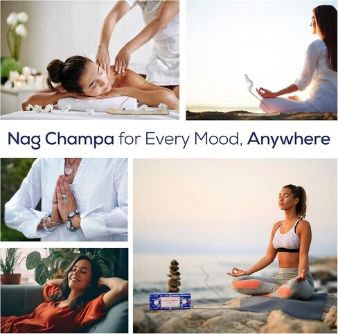 Raajsee Incense Holder Bundle with Satya Nag Champa Incense Sticks 250 gm Pack, Satya Sai Baba Nagchampa Natural Insence Sticks in Kuwait