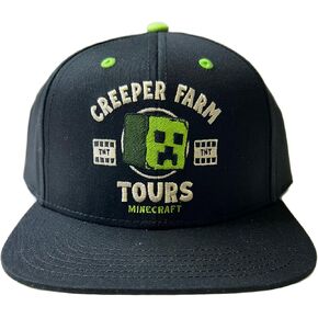 Minecraft Movie Little & Big Boys Snapback Baseball Hat Black