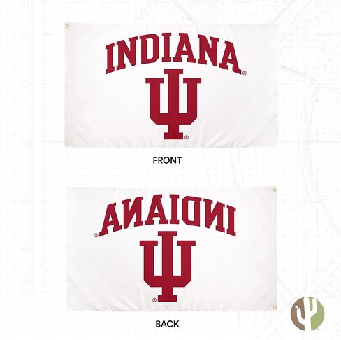 Desert Cactus Indiana University Flag Hoosiers Bloomington Flags Banners 100% Polyester Indoor Outdoor 3x5 (Style 2) in Kuwait