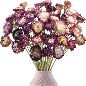 40PCS Natural Dried Daisy Mums Flowers, 16.9in Dried Mums Chrysanthemum Dried Orange Flowers Arrangements for Vase Home Farmhouse Wedding DIY Table Centerpiece Décor (Purple Yellow)