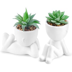 Der Rose Set of 2 Fake Plants Artificial Succulent Plants for Office Desk Accessories Black Bathroom Home Room Aesthetic Decor Indoor