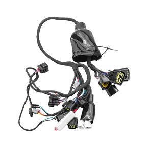 Full Main Wire Wiring Harness Assy Fit for Surron Light Bee, Motorcycle Wrie Harness Assy