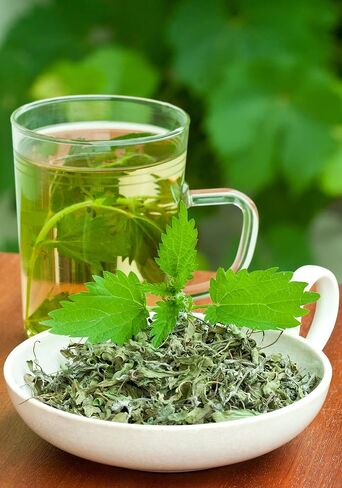Health Embassy Stinging Nettle Leaf | Urtica Dioica L | Herbal Tea (50g) in Saudi Arabia