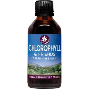 WishGarden Herbs Chlorophyll & Friends - Chlorophyll Liquid Drops with Nettle Leaf, Holy Basil, Moringa Leaf & Peppermint Leaf, Supports Increased Energy, Healthy Immune, & Stress Response, 2oz