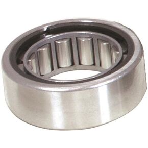 Yukon (YB PB-006) High-Load Pilot Bearing for Ford 9" Differential