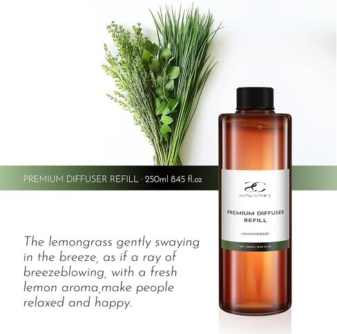 Diffuser Oil Luxury Essential Oils for Diffuser Refill & Air Freshener,Long-Lasting Natural Home Fragrance and Hotel Scent for Diffusers - 8.45 Fl.oz(250ml), Black ICE in Kuwait