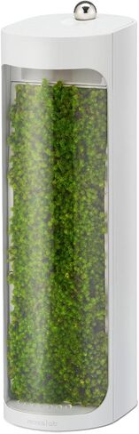Moss Air – Living Moss Terrarium | Soothing Light & Mist Fountain | Eco-Friendly Zen Decor | Portable & Whisper-Quiet in Kuwait