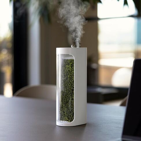 Moss Air – Living Moss Terrarium | Soothing Light & Mist Fountain | Eco-Friendly Zen Decor | Portable & Whisper-Quiet in Kuwait
