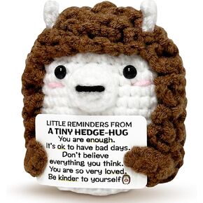 Mini Hedgehog Inspirational Gifts for Women Men, Positive Emotional Support Crochet Gifts for Friends Coworkers Teens, Birthday Gift for Her Him Sister Student Graduation Teacher Appreciation Gift