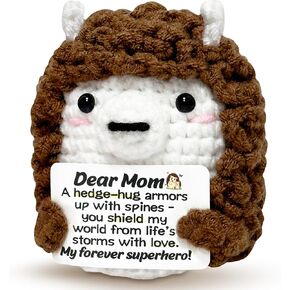 Mini Hedgehog Inspirational Gifts for Women Men, Positive Emotional Support Crochet Gifts for Friends Coworkers Teens, Birthday Gift for Her Him Sister Student Graduation Teacher Appreciation Gift in Kuwait