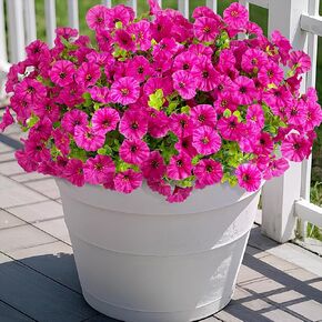 Artificial Flowers for Outdoor Spring Summer Decoration, 10 Bundles Fake Plastic Flower Plant, Faux Colorful Silk Morning Glory Eucalyptus for Outside Garden Porch Front Door Decor, Purple