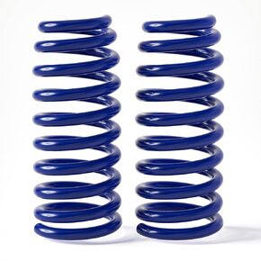 2Pcs Rear Suspension Coil Spring Set Compatible for