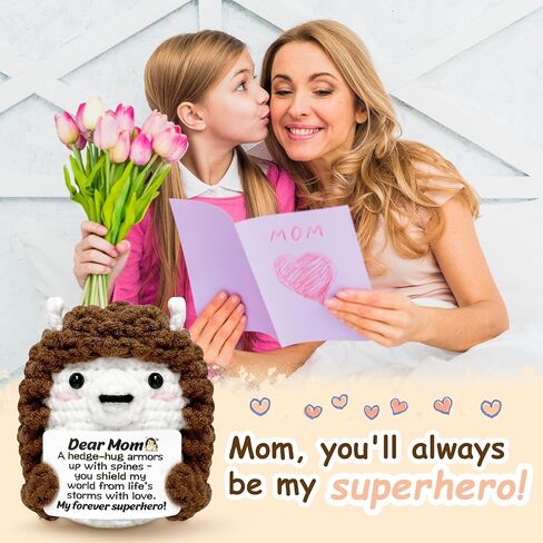 Mini Hedgehog Inspirational Gifts for Women Men, Positive Emotional Support Crochet Gifts for Friends Coworkers Teens, Birthday Gift for Her Him Sister Student Graduation Teacher Appreciation Gift in Kuwait