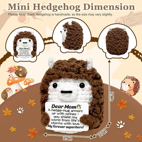 Mini Hedgehog Inspirational Gifts for Women Men, Positive Emotional Support Crochet Gifts for Friends Coworkers Teens, Birthday Gift for Her Him Sister Student Graduation Teacher Appreciation Gift in Kuwait