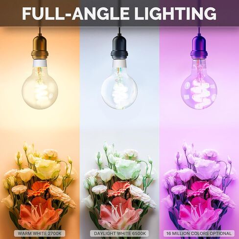 مصابيح إضاءة LED MOES Smart ST64 Edison LED، مصابيح ذكية متغيرة اللون WiFi ST21، 2700K-6500K CW&RGB قابلة للتعتيم، جهاز تحكم عن بعد للحياة الذكية، تعمل مع Alexa/Google Home، 470lm 5W (40W يعادل) 2 Pack in Kuwait