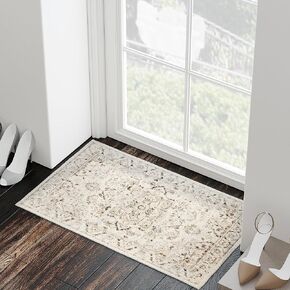 Area Rug 2x3, Stain Resistant Rugs, Non-Shedding & Easy Care, for Entryway, Living Room, Bedroom, Dinning Room, Brown/Cream