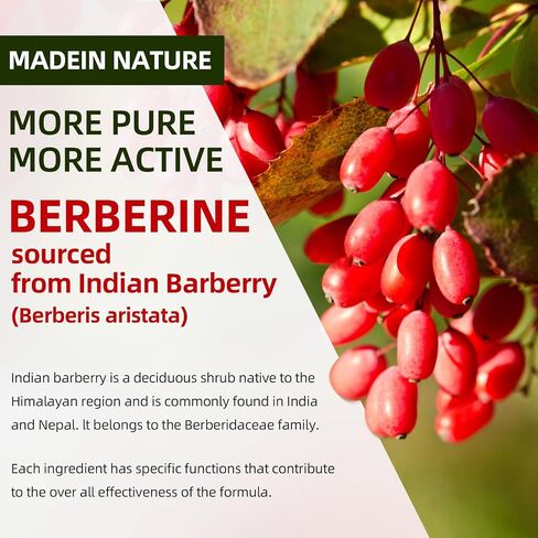Berberine Gummies with Ceylon Cinnamon 1500mg High Potency Berberine HCL Supplement for Immune and Metabolism Support, Sugar Free Organic Berberine Gummies Strawberry Flavor - 60 Count in Saudi Arabia
