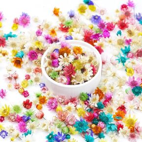 280 PCS Mini Dried Flowers for Resin, Small Dried Flowers for Crafts, Mini-Dried Flower Bulk for Resin Art, Jewelry, Candle Making, Soap Making and DIY Crafts