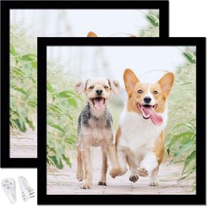 14x14 مجموعة إطار الصورة من 2 ، إطارات صور سوداء سوداء مربعة عالية الجدار معرض الجدار الشفافة سطح المكتب الأفق العمودي ل Canvas Collage Photo Poster شهادة 14 × 14 بوصة