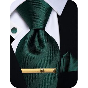 Silk Ties for Men Paisley Floral Striped Necktie and Pocket Square Cufflinks Tie Clip Set 4PC in Saudi Arabia