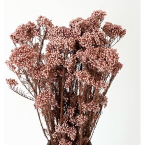Natural Preserved Millet Flowers Dried Bouquet Flowers and Plants Arrangements for Home and Wedding Decoration (Lvory White)