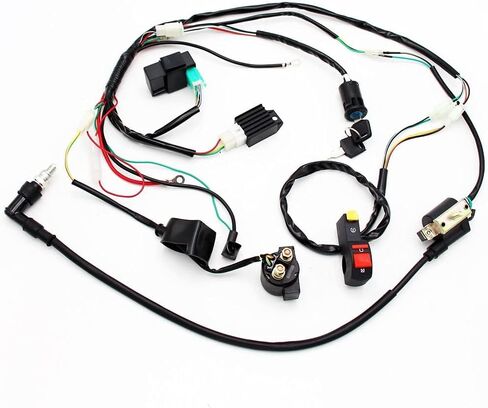 Pro Bat Full Wiring Harness Loom Solenoid Coil منظم 50cc 70cc 90cc 110cc 125cc Dirt Pit Pik in Kuwait